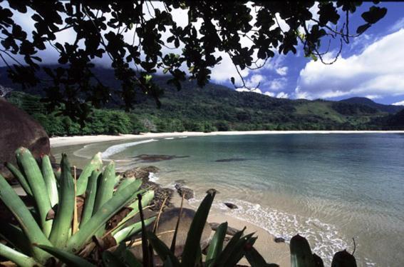 Recanto Tangará - Chalé - Praia do Felix Ubatuba Exterior foto